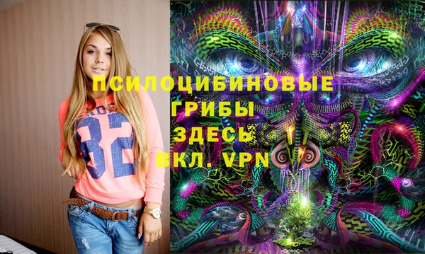бошки Баксан
