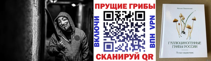мега маркетплейс  Шуя  Галлюциногенные грибы мухоморы 